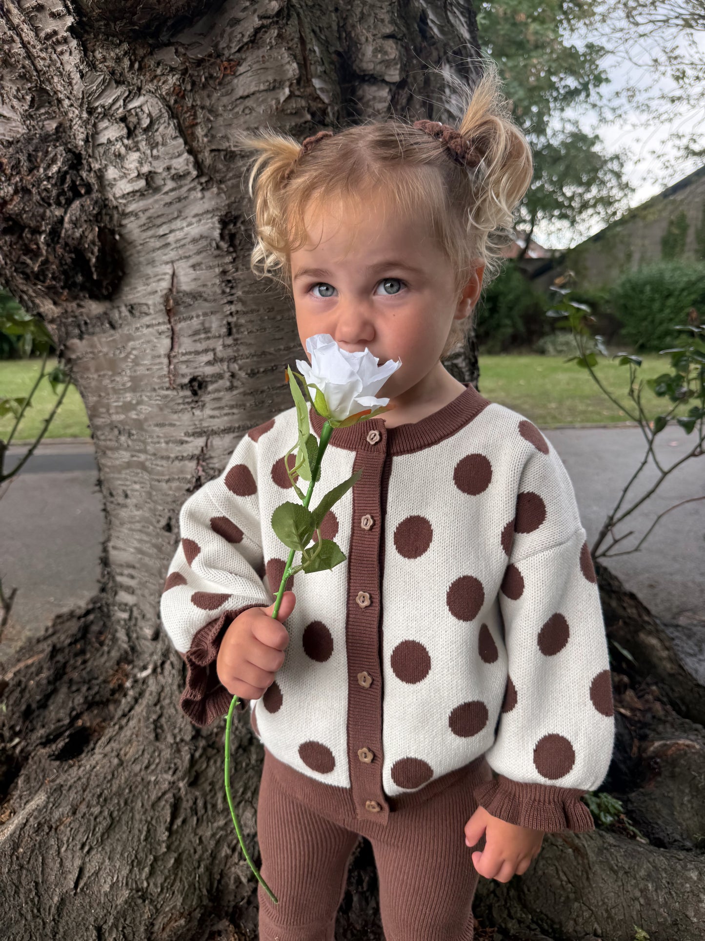 Dotty cardigan | cream and brown polka dot cardigan